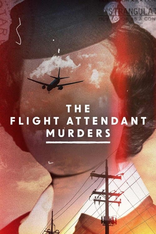 The Flight Attendant Murders afişi