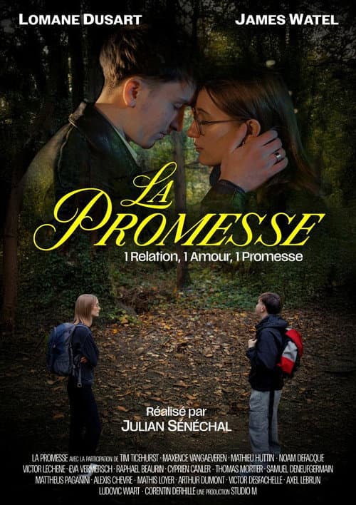 La Promesse afişi