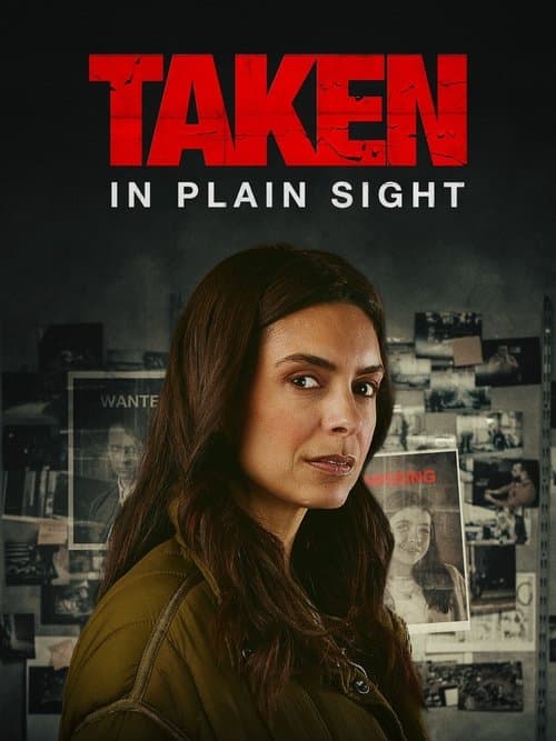 Taken in Plain Sight afişi