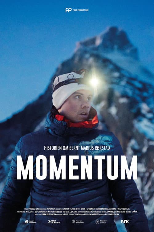 Momentum afişi