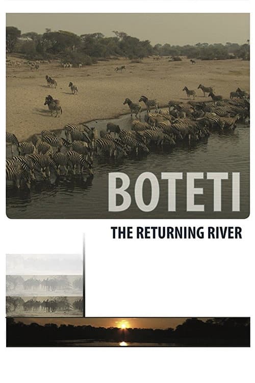 Boteti: The Returning River afişi