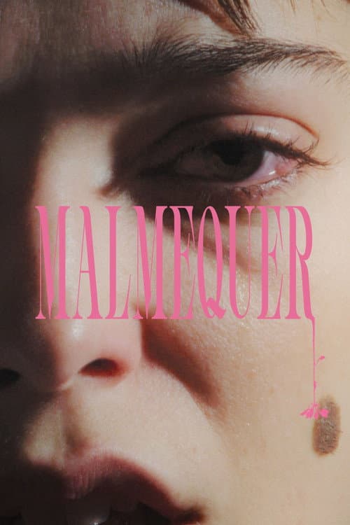 Malmequer afişi