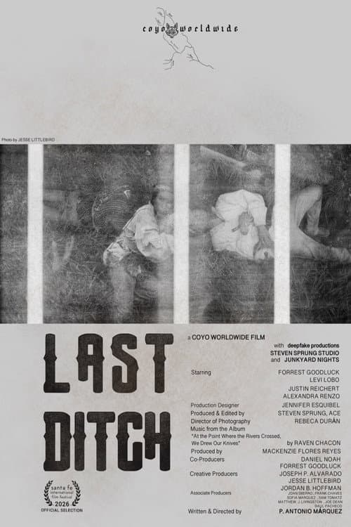 Last Ditch afişi