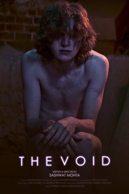 The Void afişi