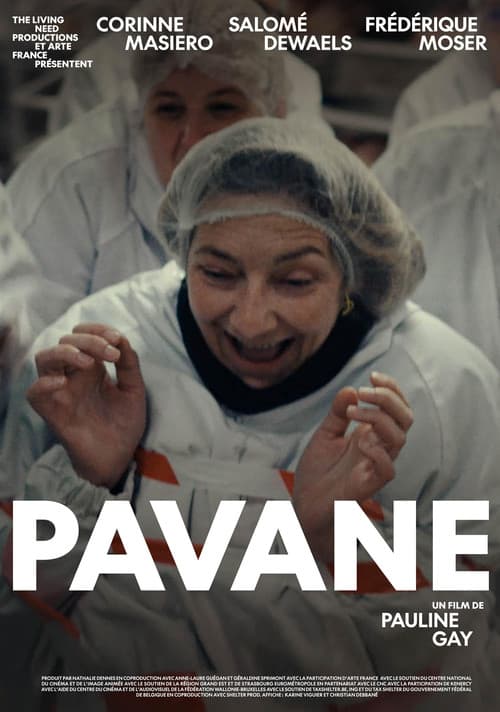 Pavane afişi
