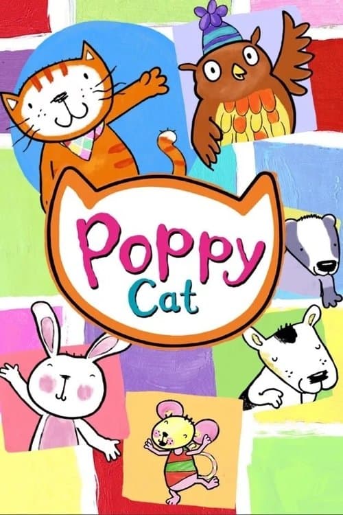 Pisi Kedi