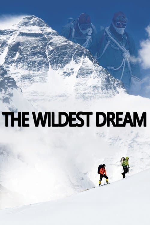 The Wildest Dream afişi