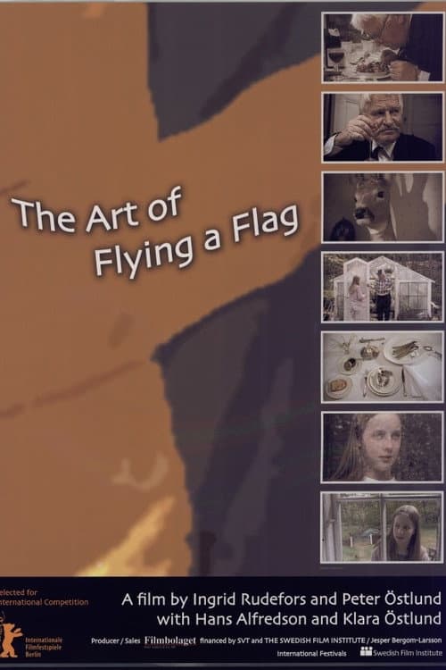 Konsten att flagga afişi