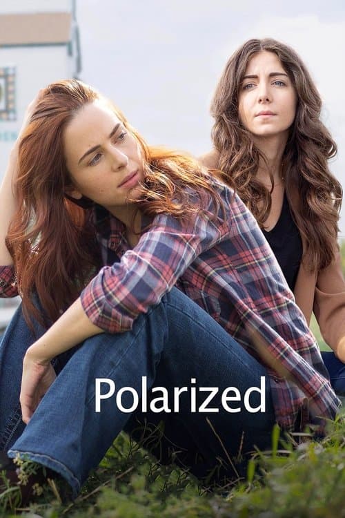 Polarized afişi