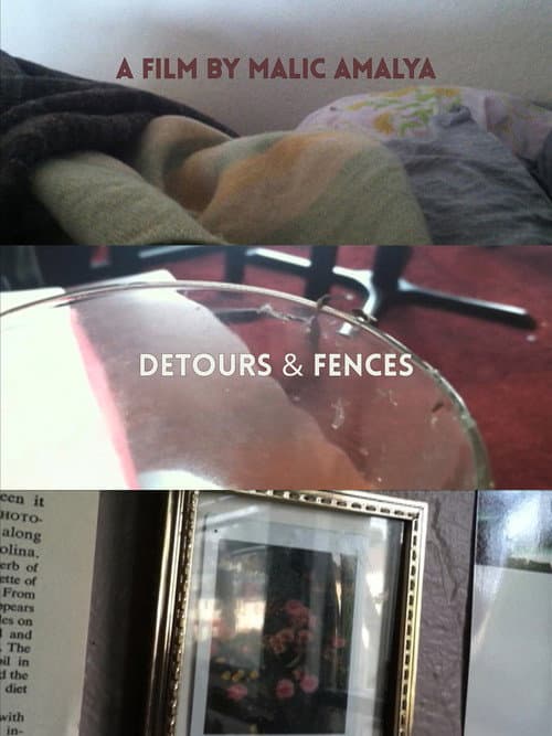 Detours and Fences afişi