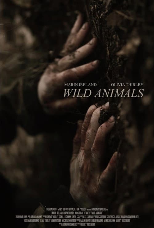 Wild Animals afişi