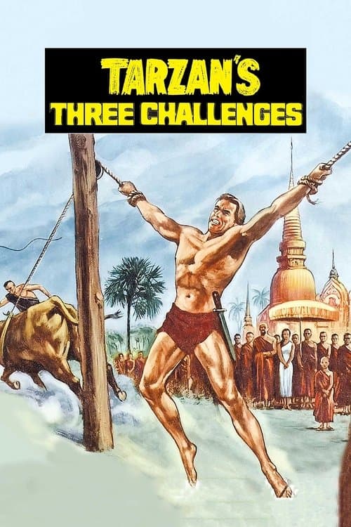 Tarzan's Three Challenges afişi