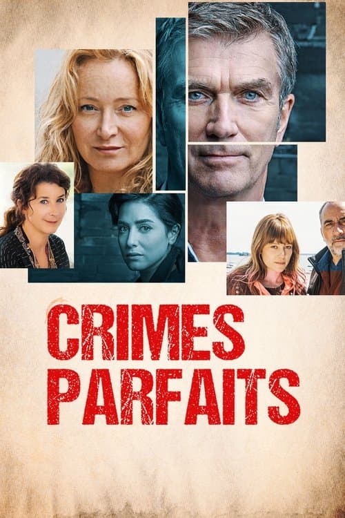 Crimes parfaits afişi