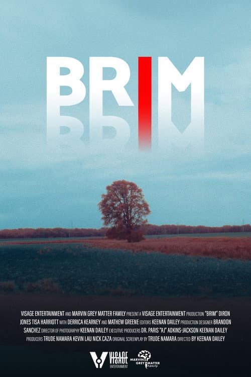 Brim afişi