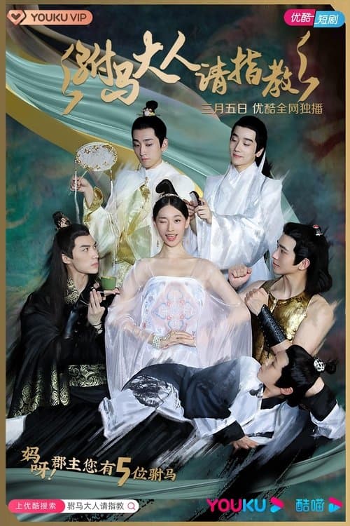 Princess! You have Five Husbands! afişi
