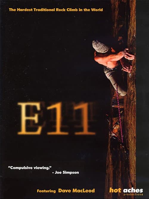 E11 afişi