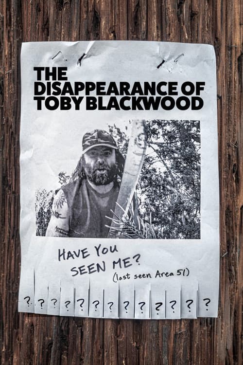 The Disappearance of Toby Blackwood afişi