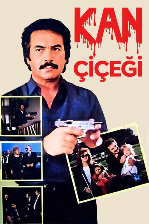 Kan Çiçeği afişi