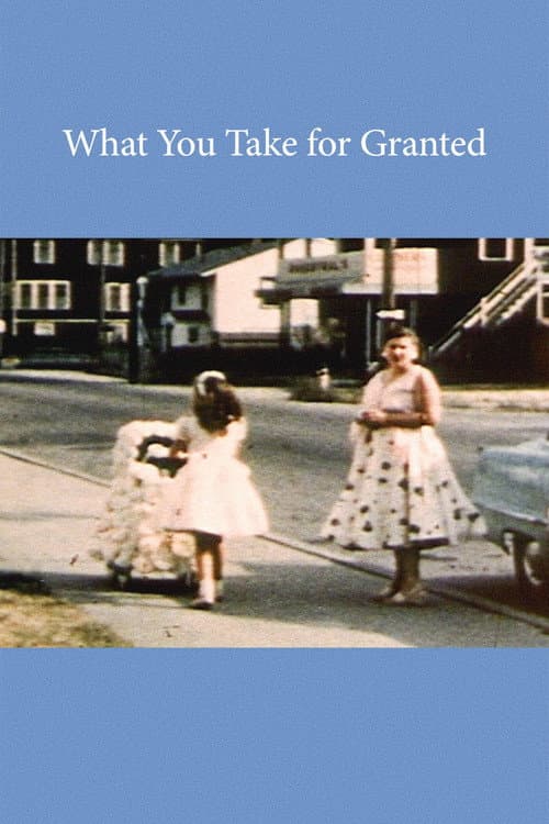 What You Take for Granted afişi