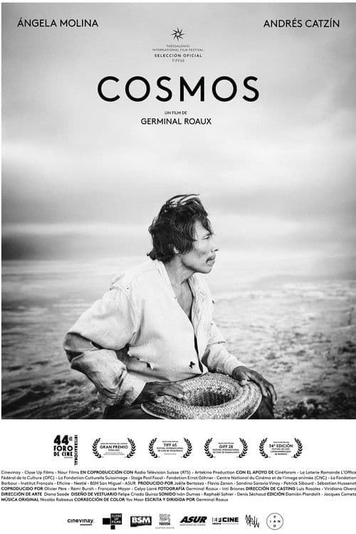 Cosmos afişi