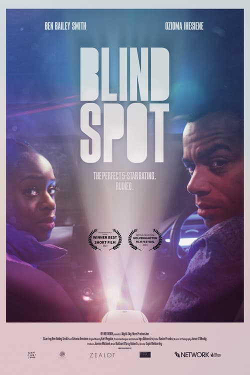 Blind Spot afişi