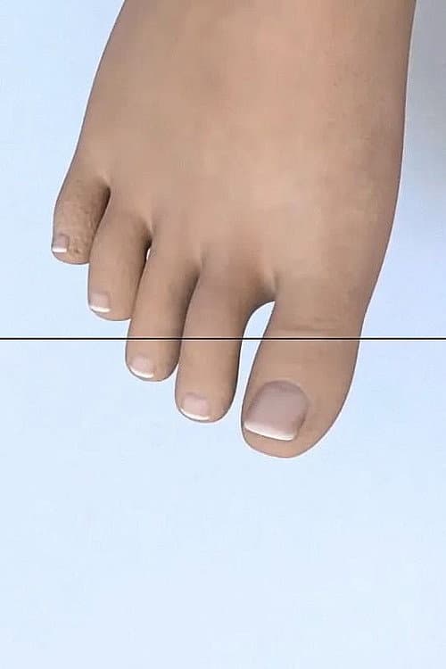 T (2017-2018) afişi