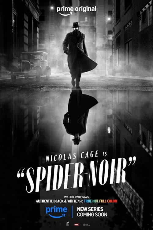 Spider-Noir afişi