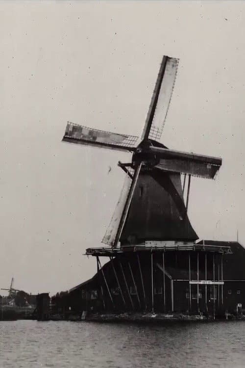 Molens van de Zaanstreek afişi