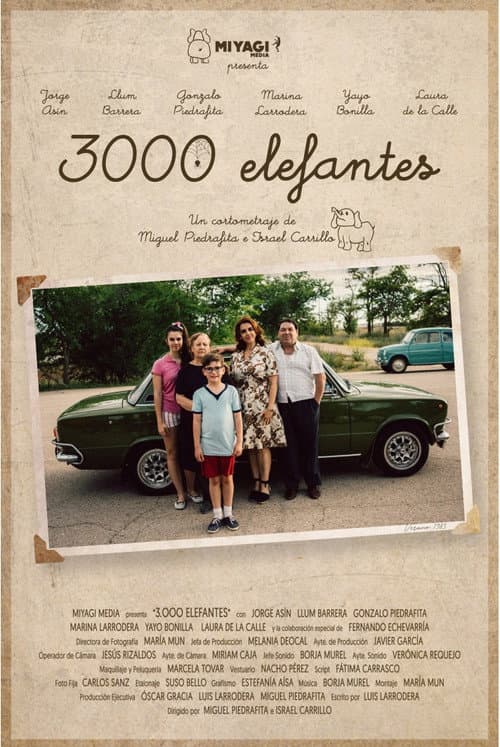 3000 elefantes afişi