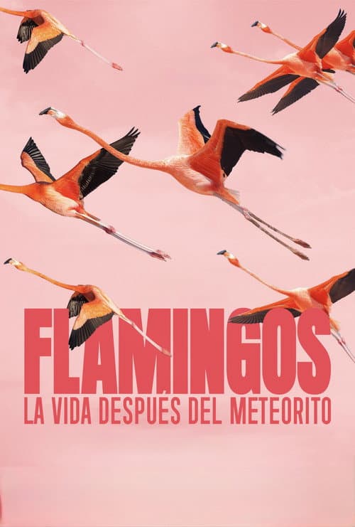 Flamingos: La vida después del meteorito afişi