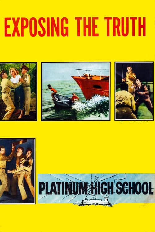 Platinum High School afişi