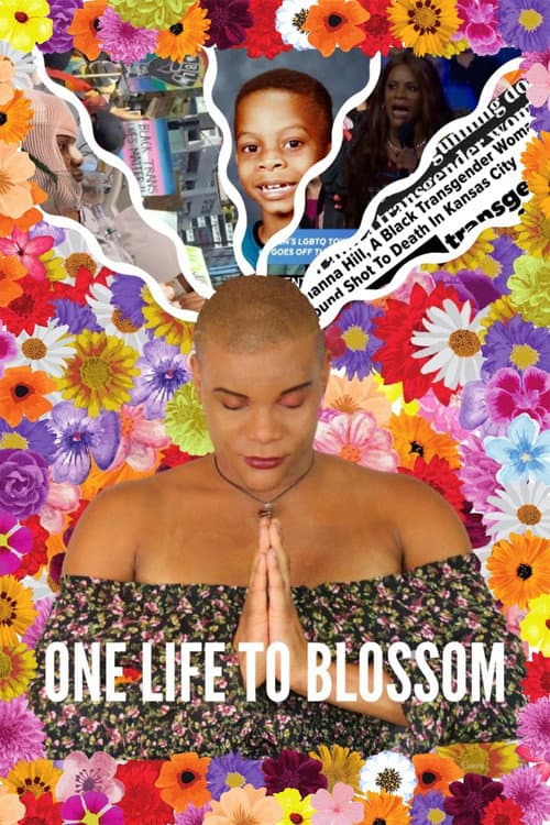 One Life To Blossom afişi