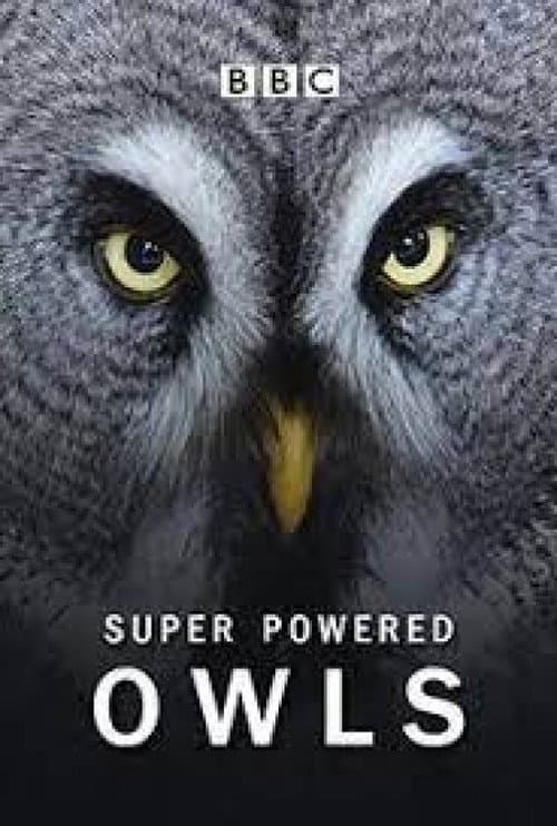 Super Powered Owls afişi