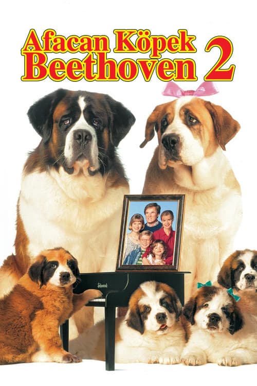 Afacan Köpek Beethoven 2 afişi