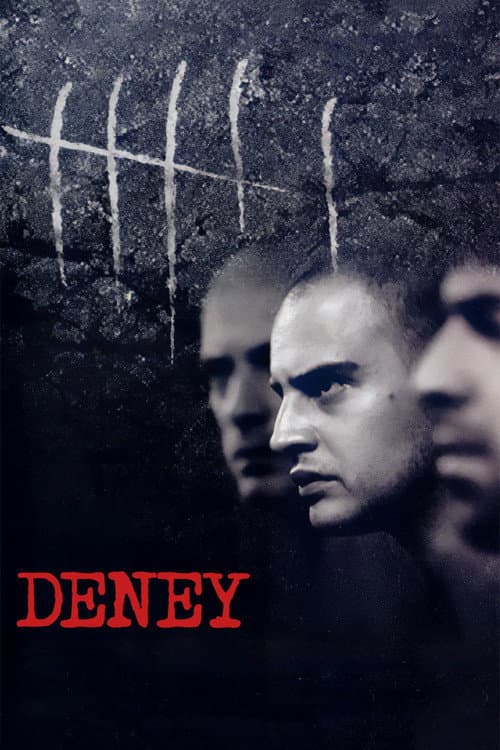 Deney afişi