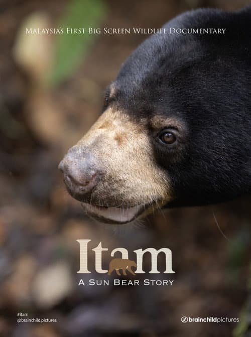 Itam: A Sun Bear Story afişi