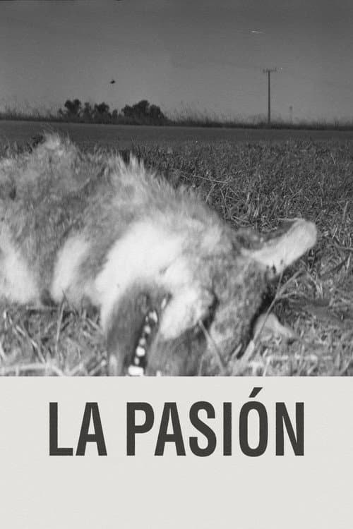La pasión afişi