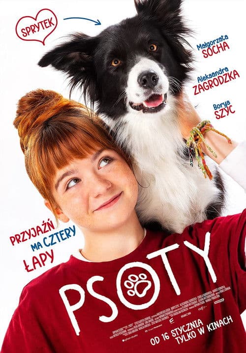 Psoty afişi