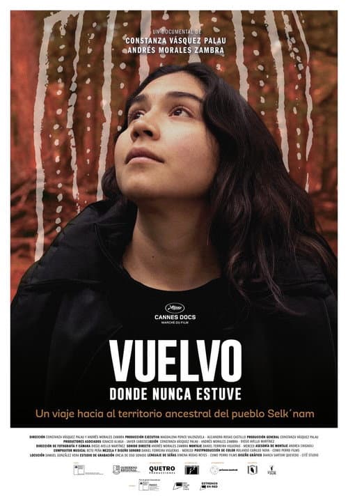 Vuelvo donde nunca estuve afişi
