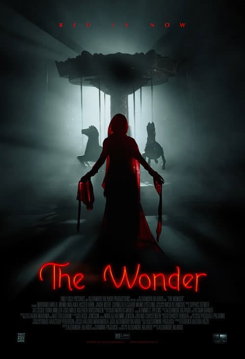 The Wonder afişi