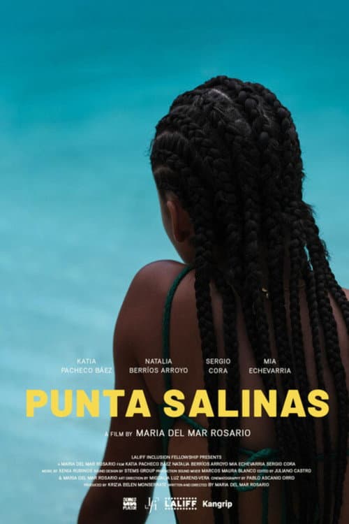 Punta Salinas afişi