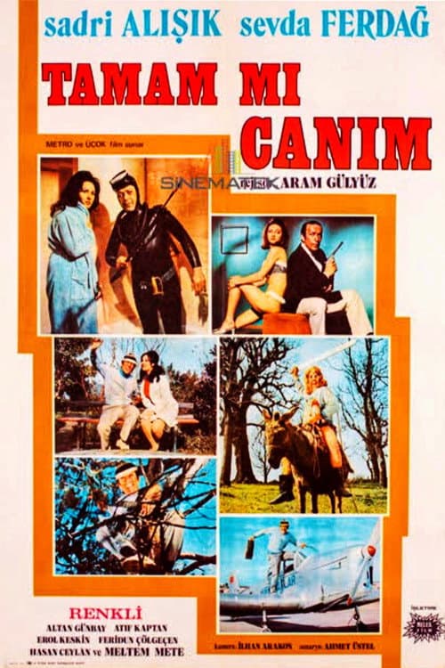 Tamam mı Canım afişi