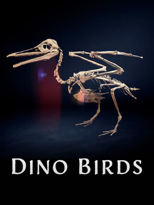 Dino Birds afişi