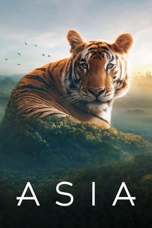 Asia afişi
