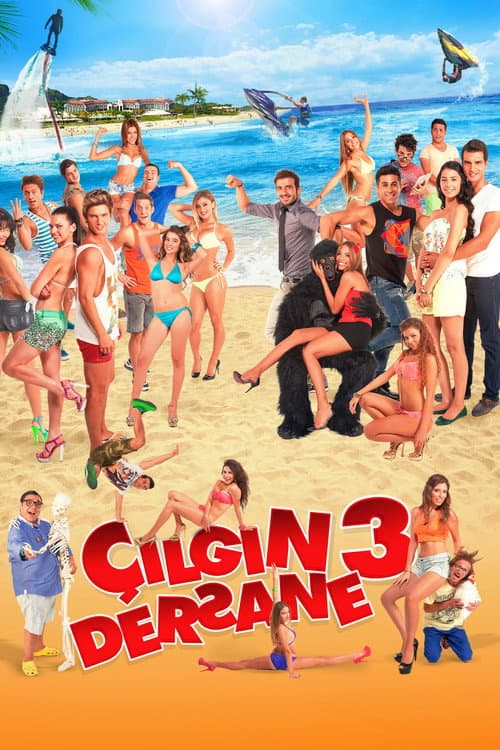 Çılgın Dersane 3 afişi