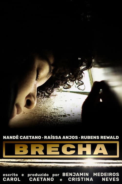 Brecha afişi