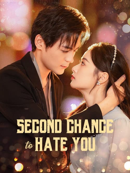 Second Chance to Hate You afişi