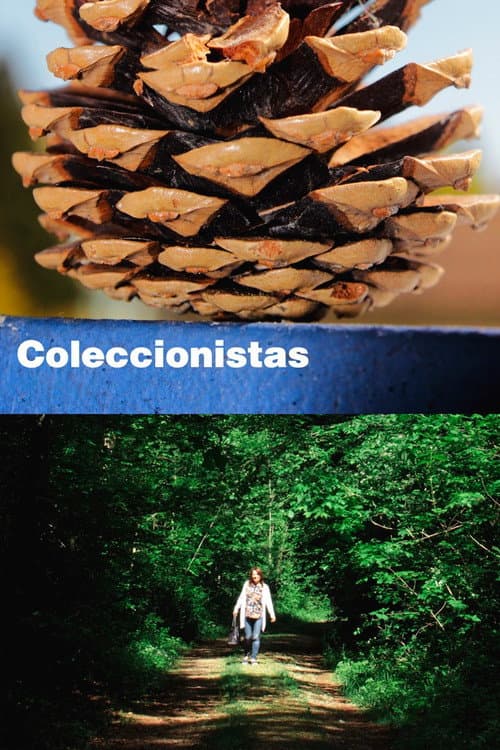 Coleccionistas afişi