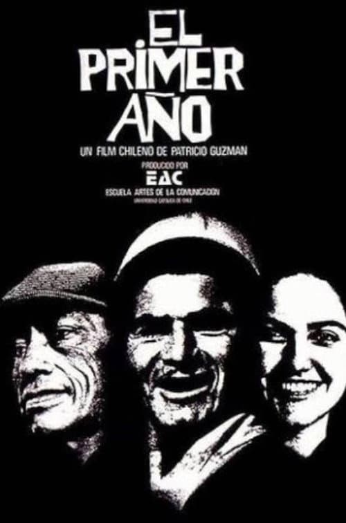 El primer año afişi