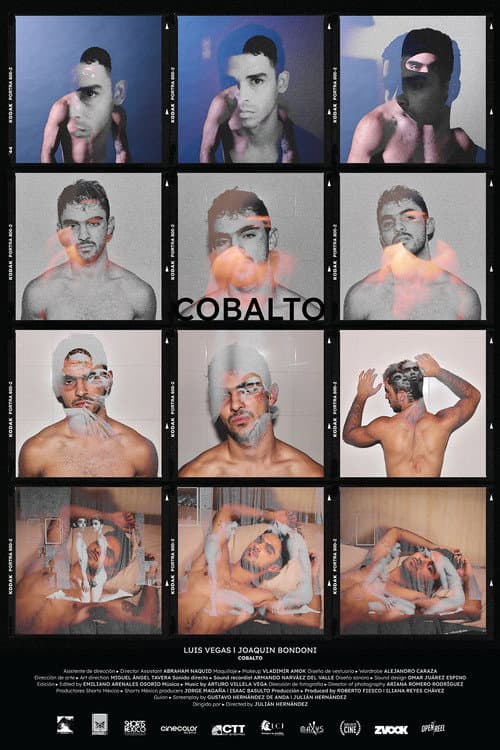 Cobalto afişi